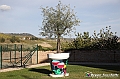 VBS_6134 - Castagnole delle Lanze